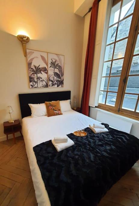T2 Calme Vieux Tours Basilique Apartment Exterior foto